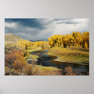 Autumn on the Gunnison River, Colorado Poster