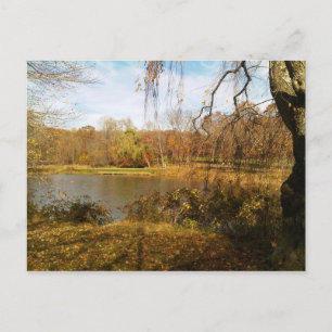 Autumn on the Lake Postcard