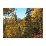 Autumn on the Trail to Dream Lake Canvas Print