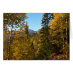 Autumn on the Trail to Dream Lake Cards