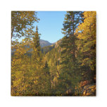 Autumn on the Trail to Dream Lake Magnet