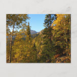 Autumn on the Trail to Dream Lake Postcard