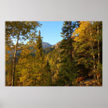 Autumn on the Trail to Dream Lake Poster
