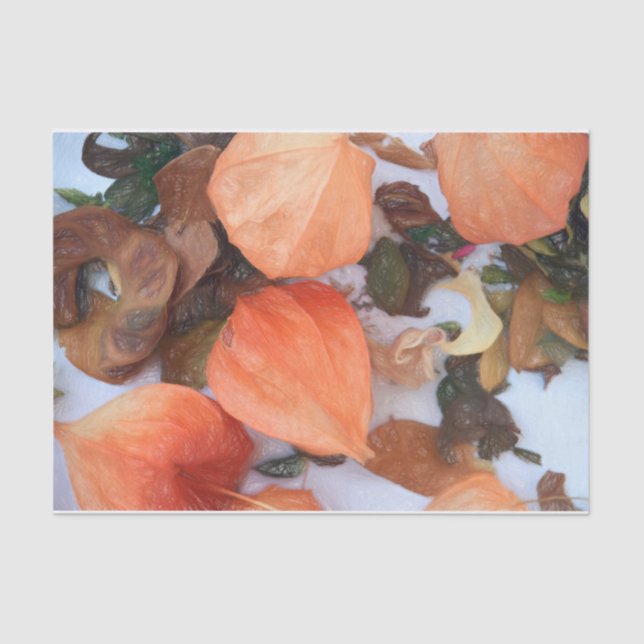 Autumn Orange Chinese Lanterns Plant Tissue Paper (Front)