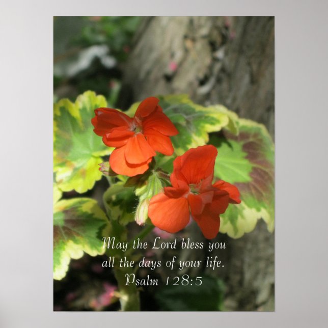 Autumn Orange Geraniums ~ Psalm 128:5 Poster (Front)