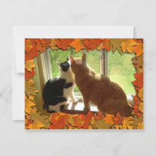 Autumn Orange Tabby Cats