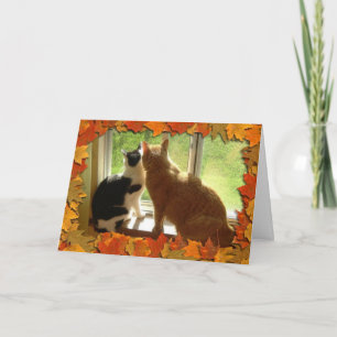 Autumn Orange Tabby Cats Holiday Card