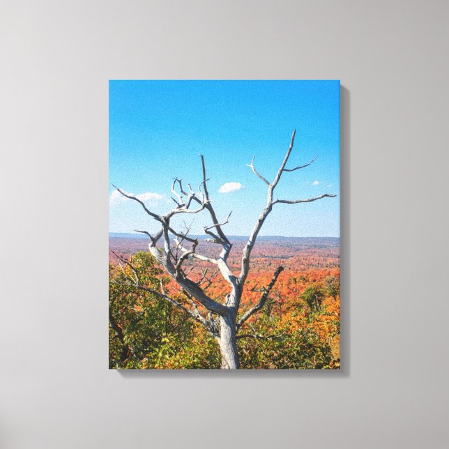 Autumn Overlook at Mount Bohemia Canvas Print (Front)