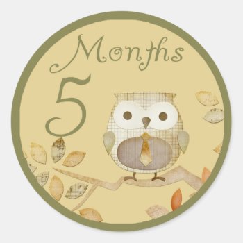 Autumn Owl 5 Months Sticker by CuteLittleTreasures at Zazzle