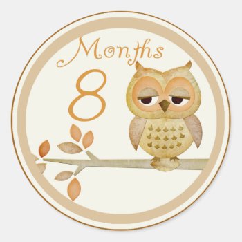 Autumn Owl 8 Months Sticker by CuteLittleTreasures at Zazzle