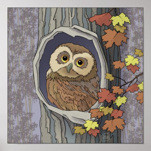 Autumn Owl and Fall Colors   Poster