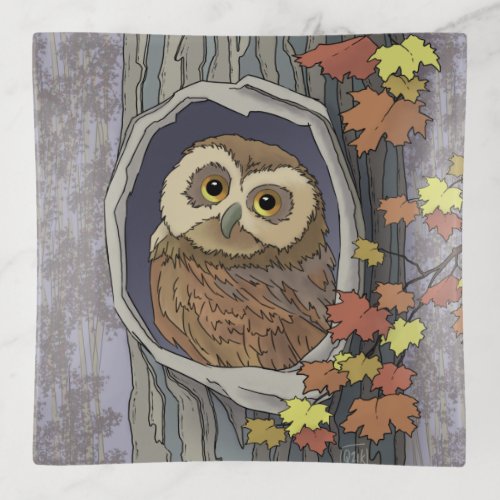 Autumn Owl and Fall Colors    Trinket Tray