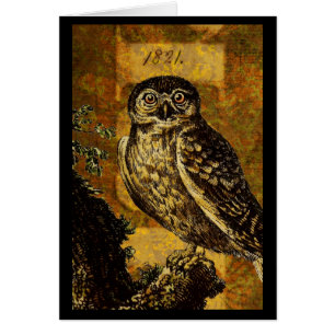 Autumn Owl Cards