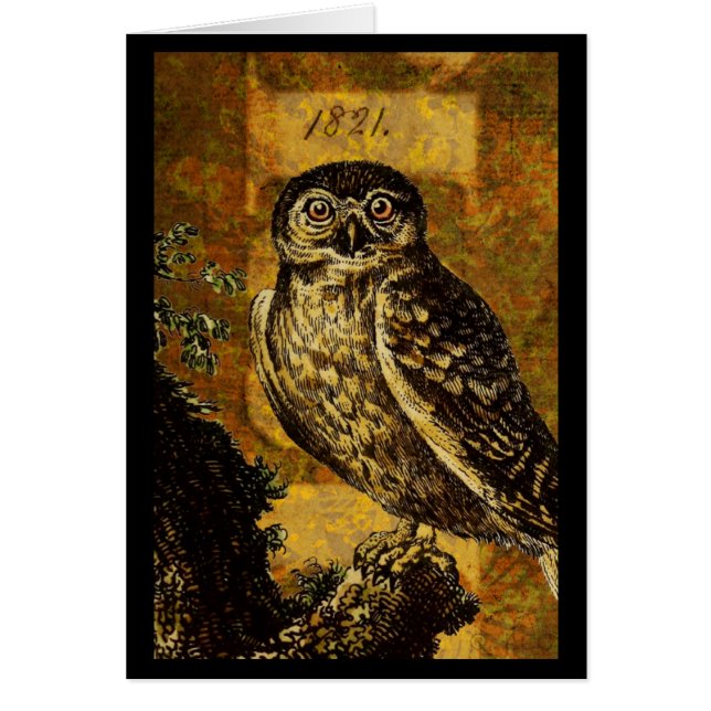 Autumn Owl Cards (Front)