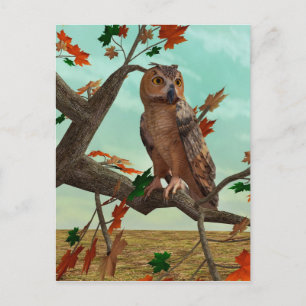 Autumn Owl Maple Tree Wildlife Art Postcard