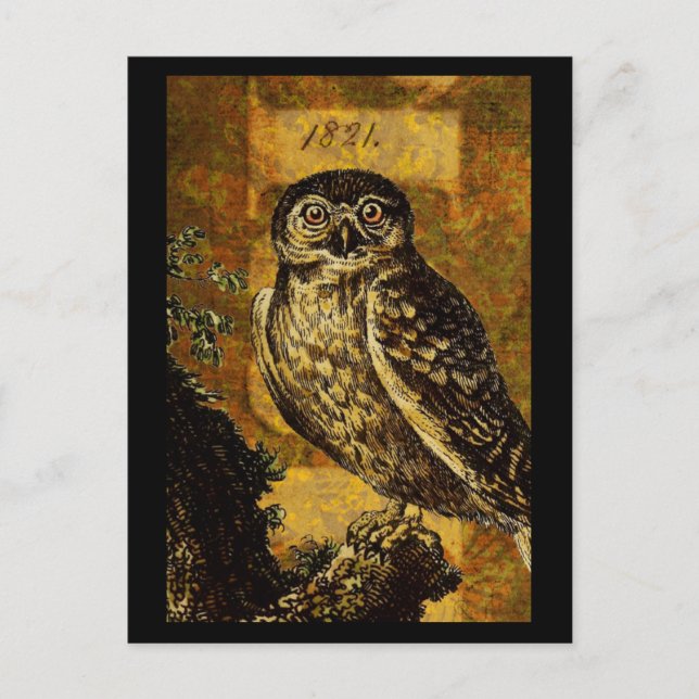 Autumn Owl Postcard (Front)