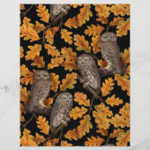 Autumn owls on black (Back)