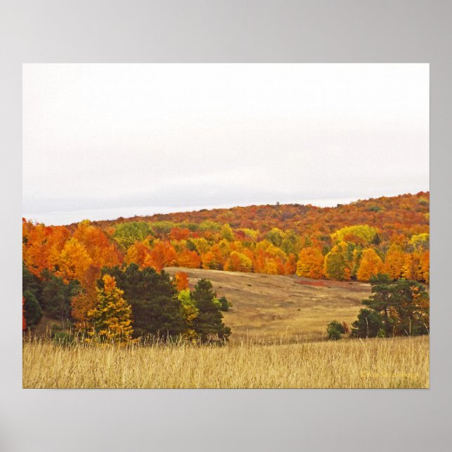 "AUTUMN PALETTE/MICHIGAN COUNTRYSIDE" POSTER (Front)