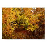 Autumn Palette Poster/Print Poster