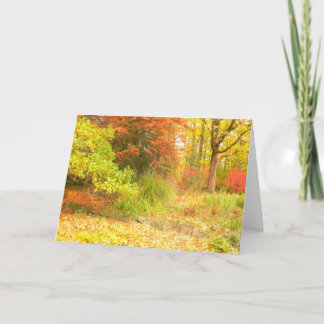 "AUTUMN PALETTE" (WOODS AWASH IN COLOR/PHOTOG) CARD