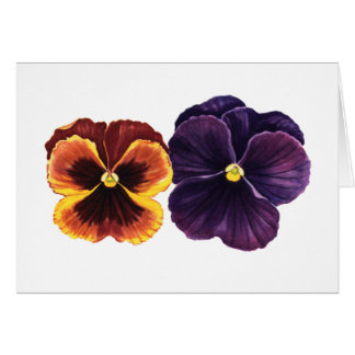 Autumn pansies cards
