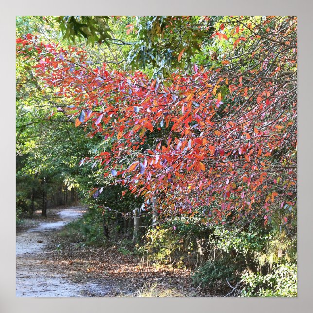 Autumn Park Poster (Front)