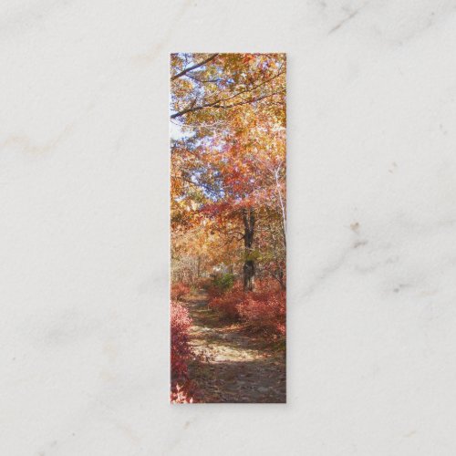 Autumn Path 27 ~ profile card Business Card