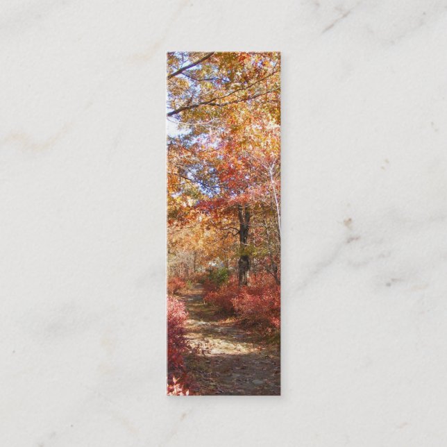 Autumn Path 27 ~ profile card (Front)