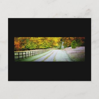 Autumn Path Postcard by artinphotography at Zazzle