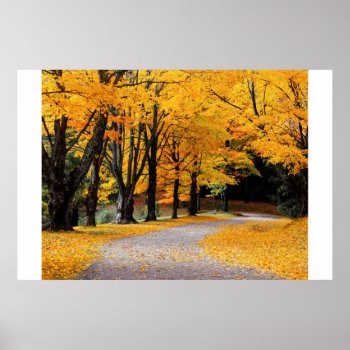 Autumn Pathway Poster by KevinCarden at Zazzle