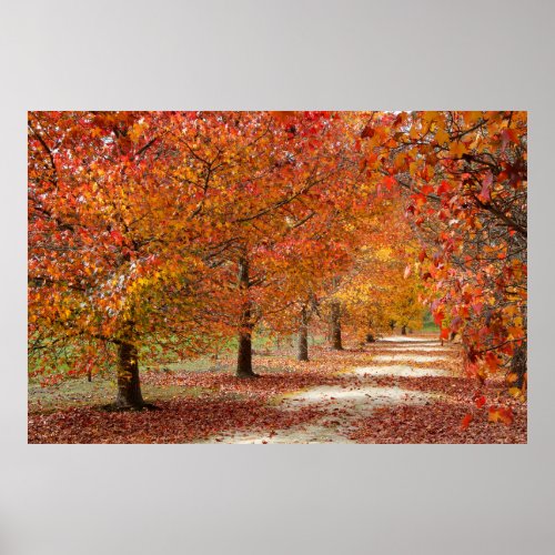 Autumn Pathway Poster