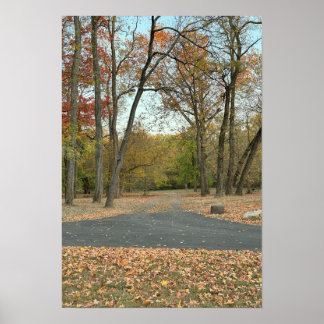 Autumn Pathway Poster 