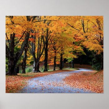 Autumn Pathway Poster by KevinCarden at Zazzle