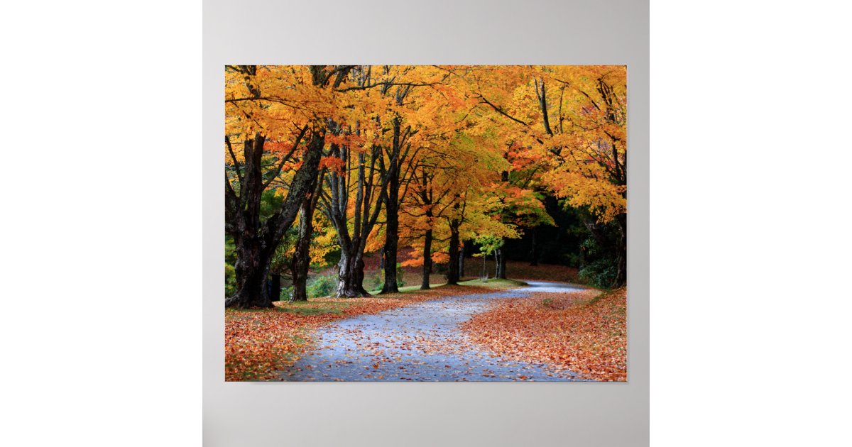 Autumn Pathway Poster | Zazzle