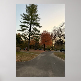 Autumn Pathway Poster 