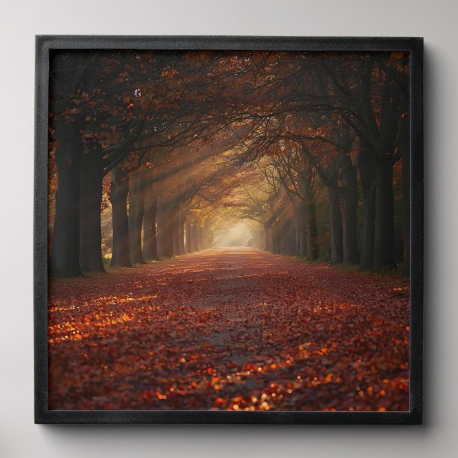 Autumn Pathway – Serene Tree Tunnel Art Print Peel And Stick Photo Tile (Front Set)