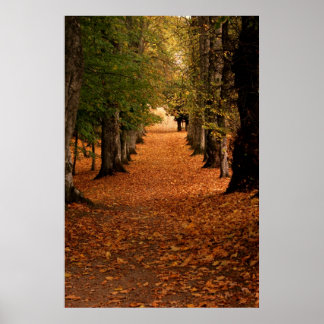 Autumn Pathways Poster