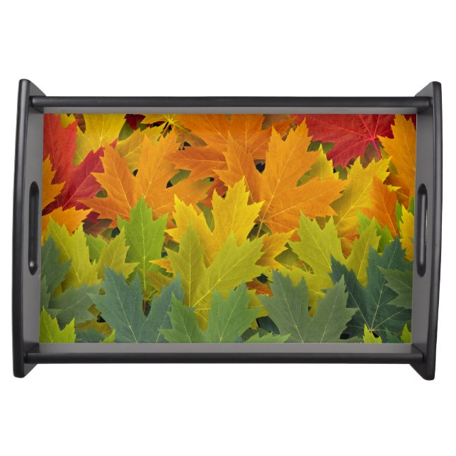 Autumn Pattern 2 Serving Tray (Front)