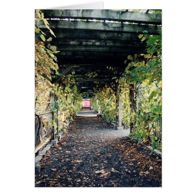 Autumn Pergola Cards (Front)