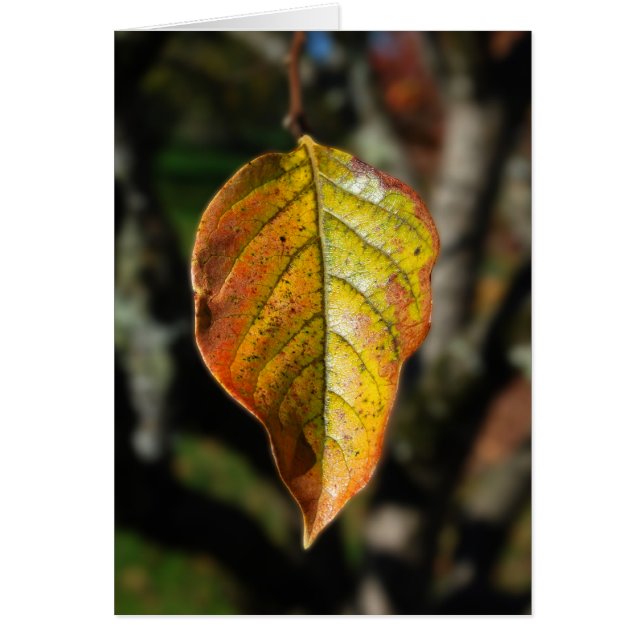 Autumn Persimmon Leaf Cards (Front)