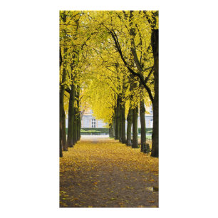Autumn Photo Card