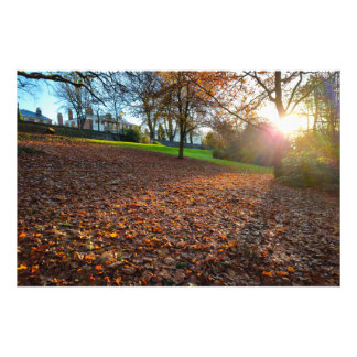 Autumn photo print