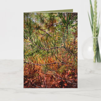 Autumn Pine Needles Card