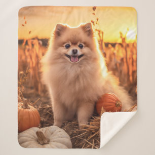 Autumn Pomeranian – Cozy & Bright Sherpa Blanket