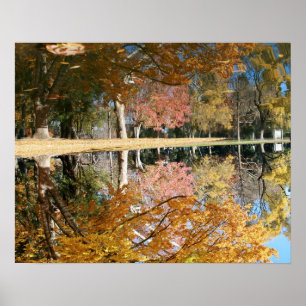 Autumn Pond, Landscape, Upside Down Poster