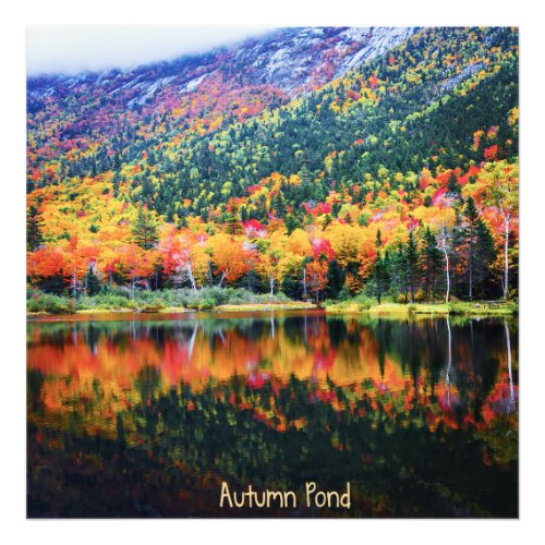 Autumn Pond Photo Print
