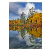 Autumn pond reflections, Maine (Front)