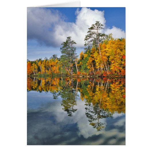 Autumn pond reflections, Maine (Front)