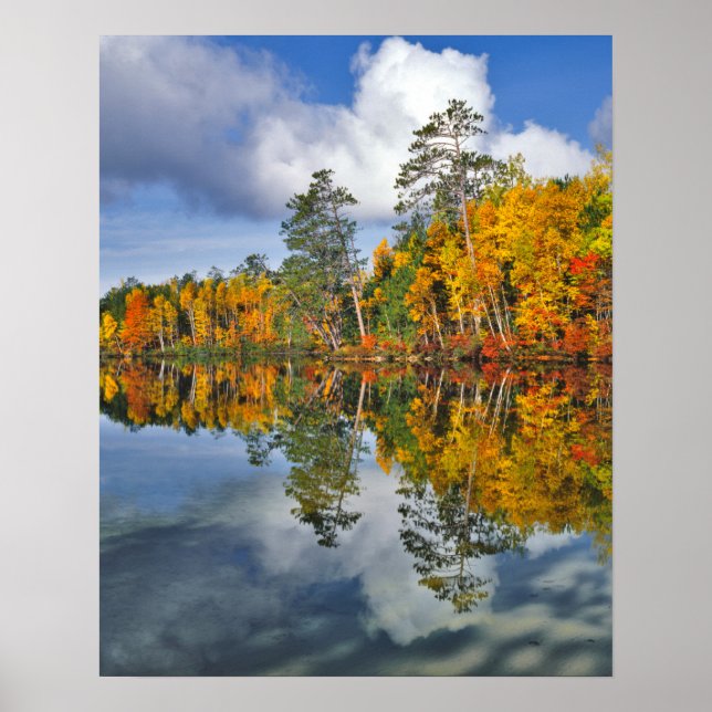 Autumn pond reflections, Maine Poster (Front)