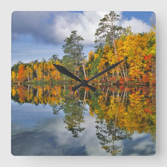 Autumn pond reflections, Maine Square Wall Clock (Front)